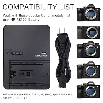 Amazon.com : BC-QZ1 Camera Battery Charger for Sony NP-FZ100